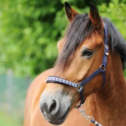 Kaltblut Classic Halfter