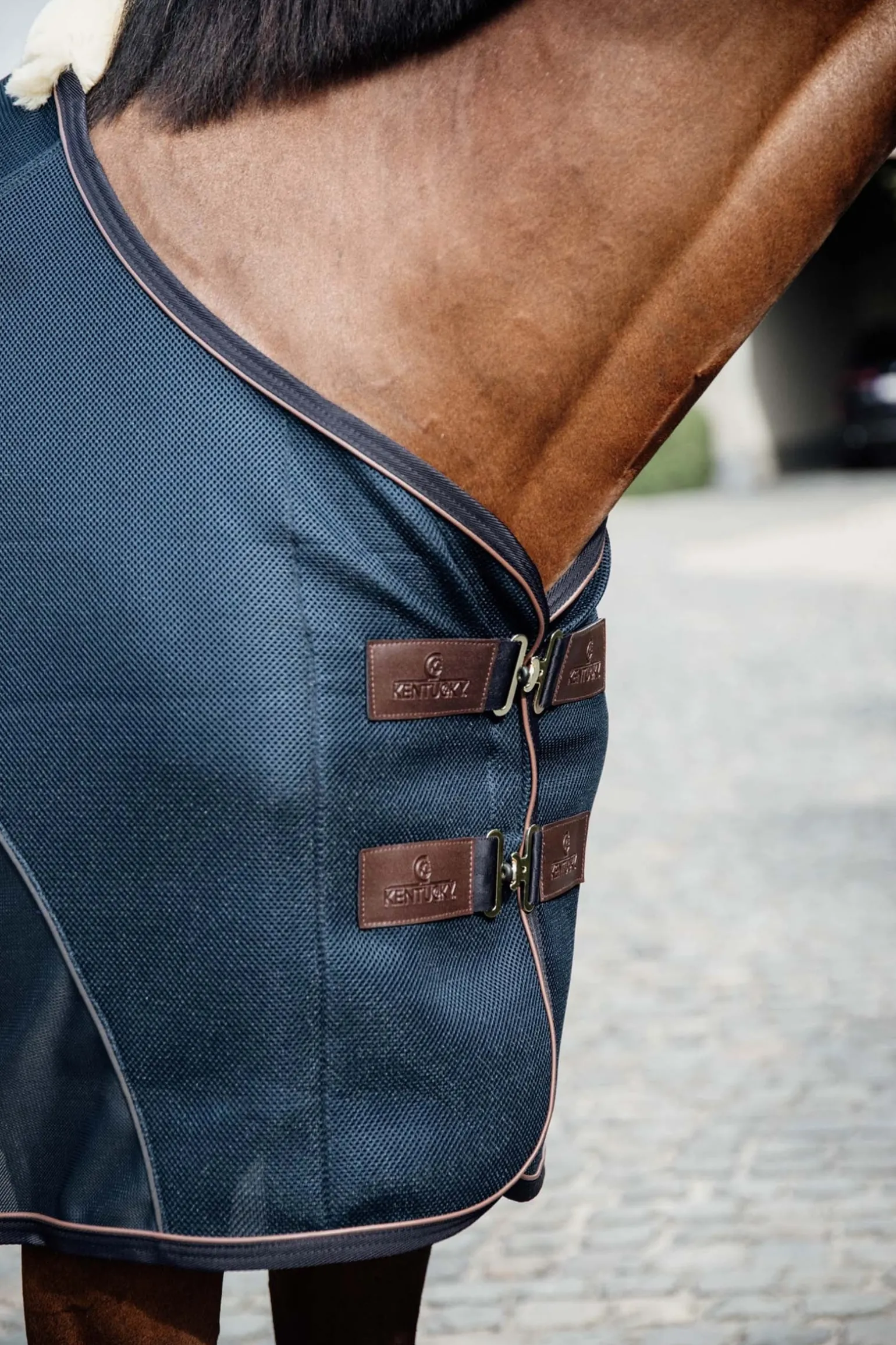 Kombinierte Mesh-Abschwitzdecke