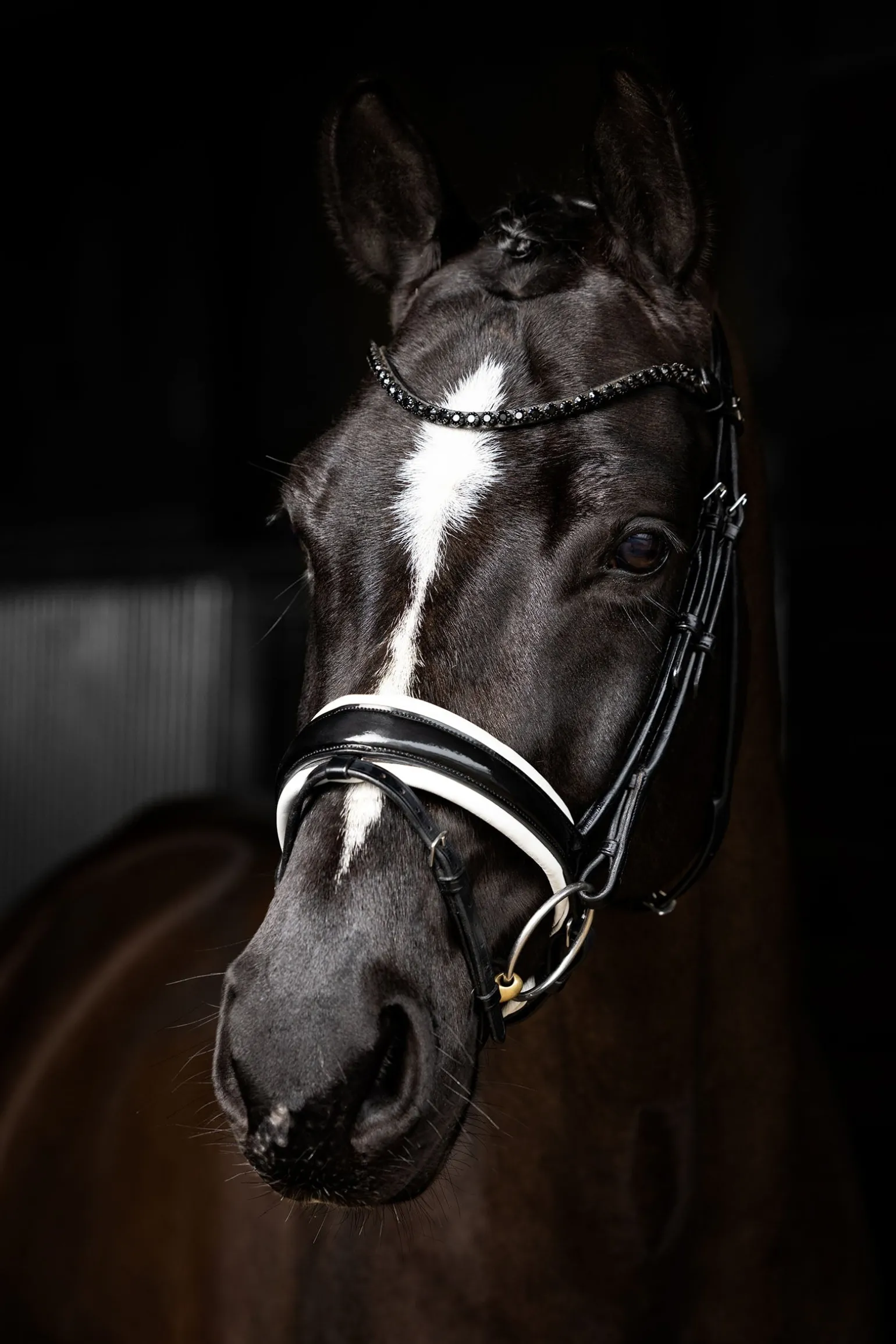 Kudos Dressurtrense aus Lackleder