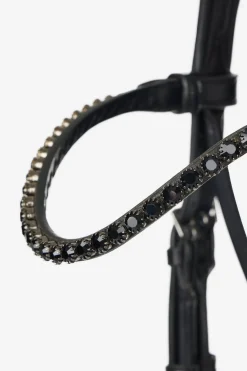 Kudos Dressurtrense aus Lackleder