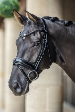 Kudos Dressurtrense aus Lackleder