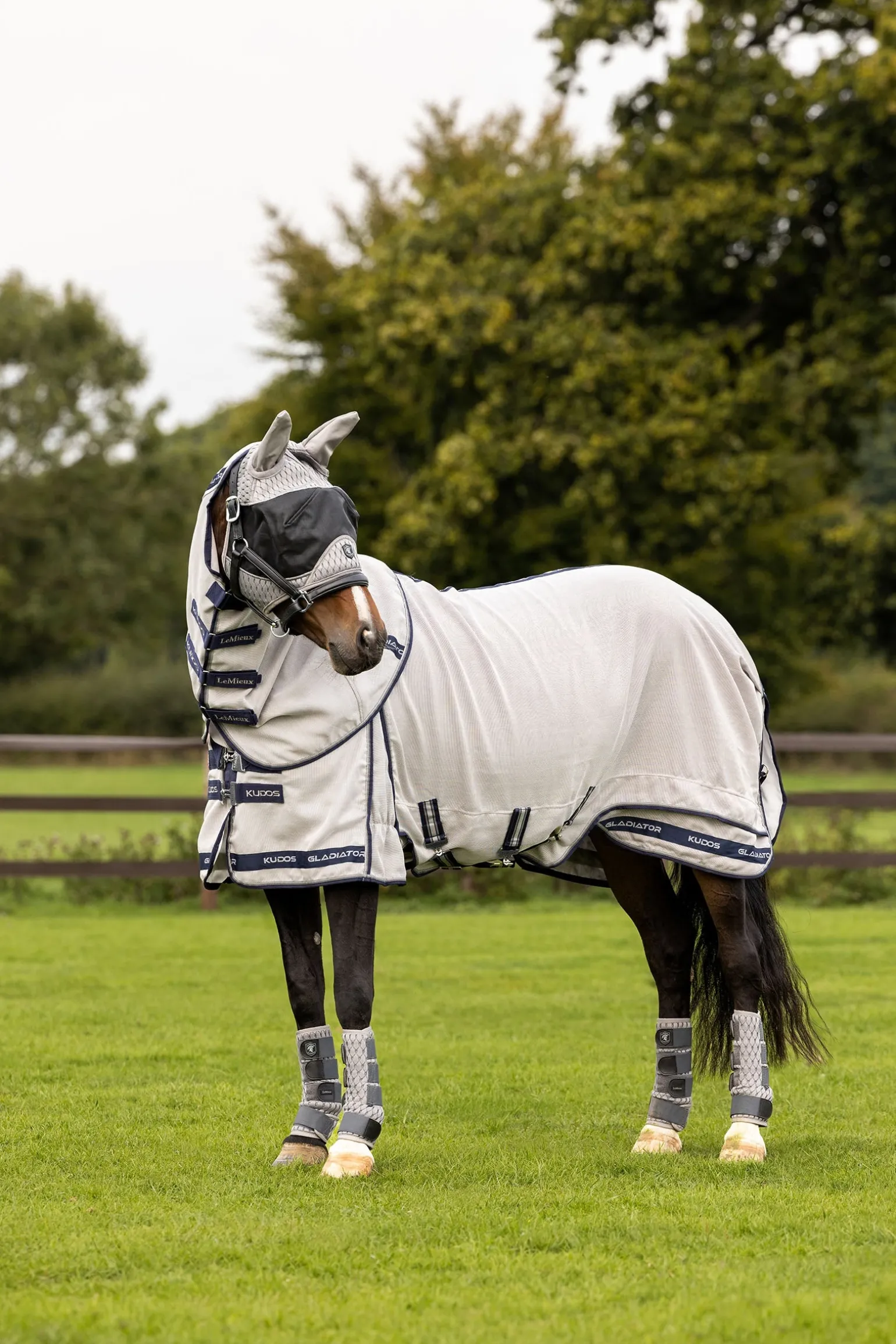 Kudos Gladiator Fliegendecke