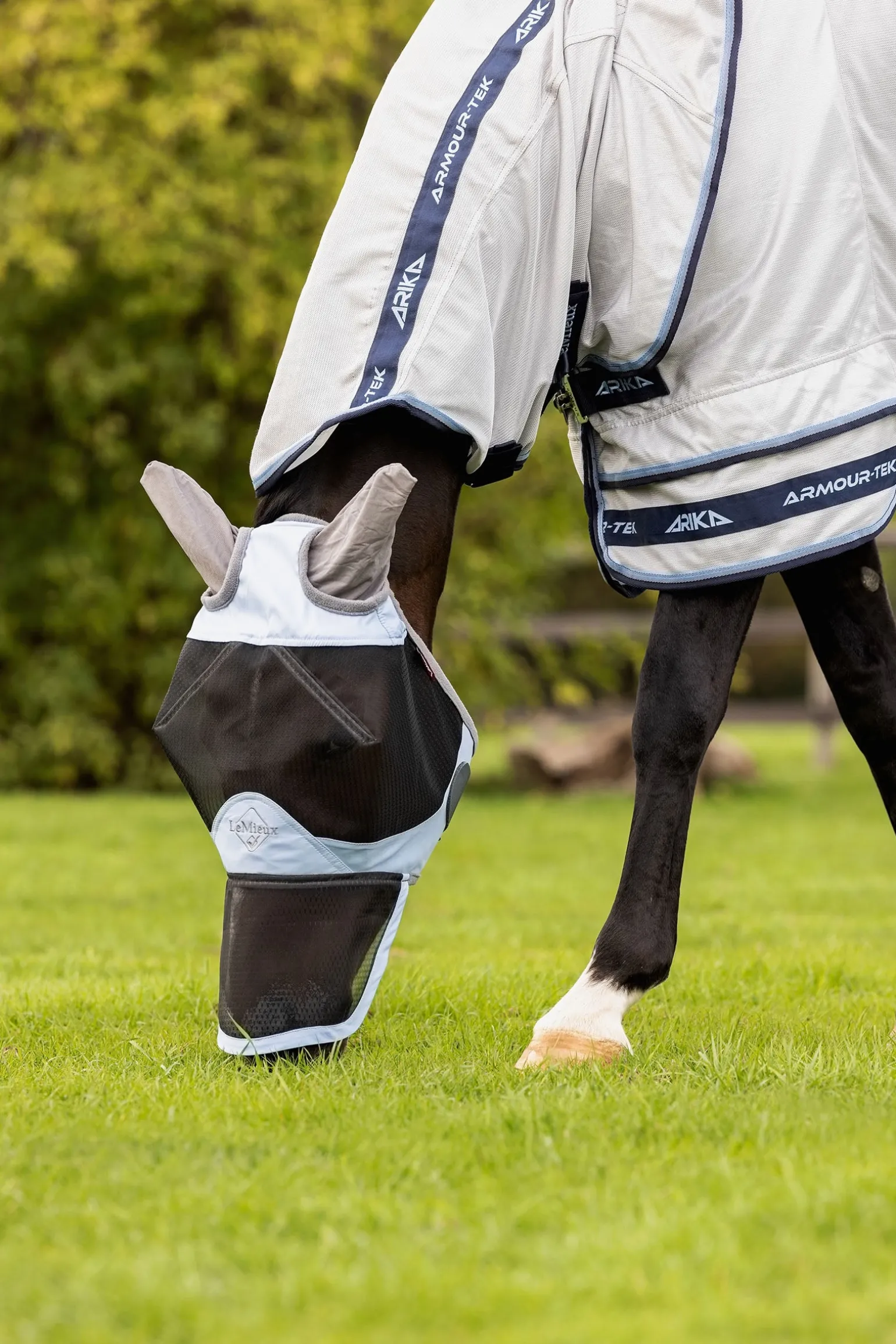 Kudos Gladiator Fliegendecke