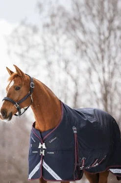 Kudos leichte Weidedecke 100g