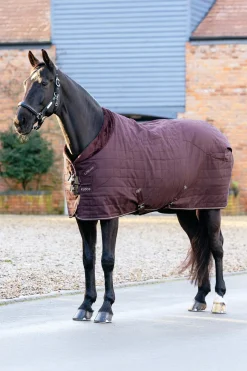 Kudos Luxe gefütterte Stalldecke, 100 g