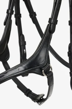 Kudos Mexikanisches Zaumzeug