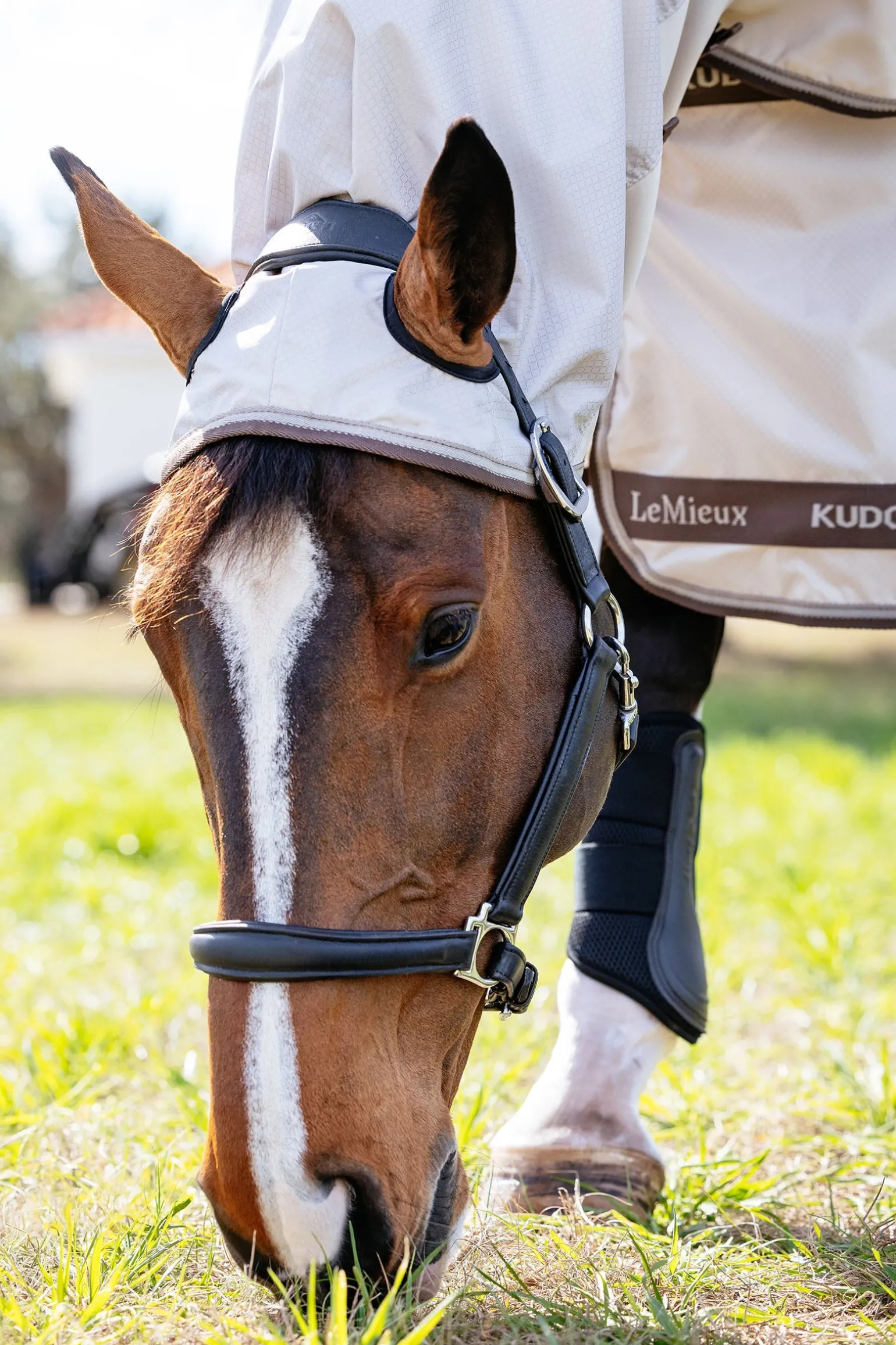 Kudos Shower Pro Ekzemerdecke mit abnehmbarem Halsteil