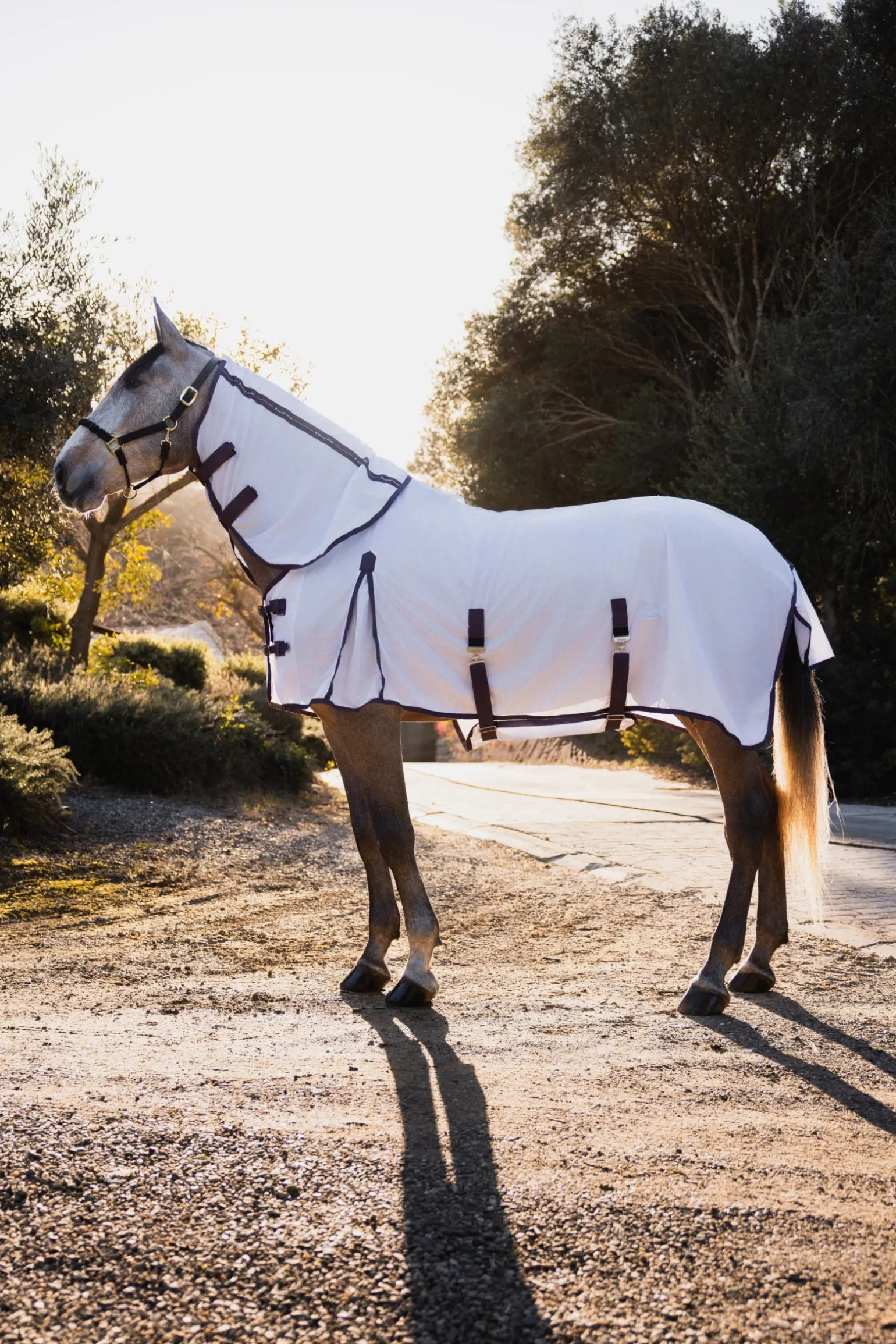 La Paz Fliegenset mit Decke, abnehmbarem Halsteil und Maske