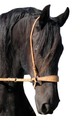 Lami Gebissloser Zaum (System 4)