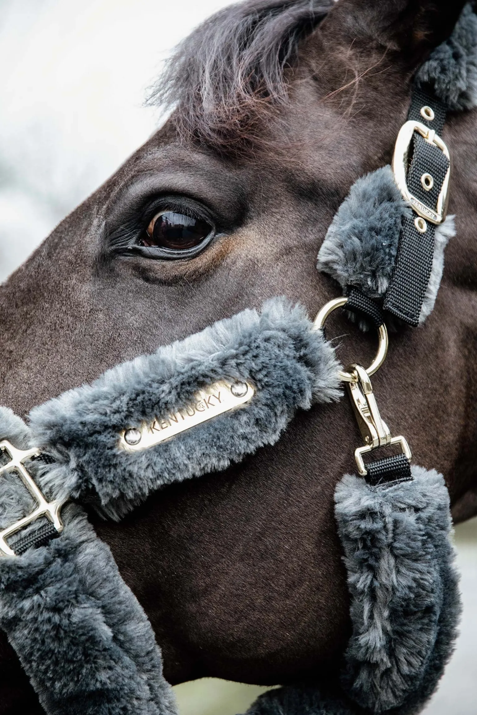 Lammfell Transport-Halfter