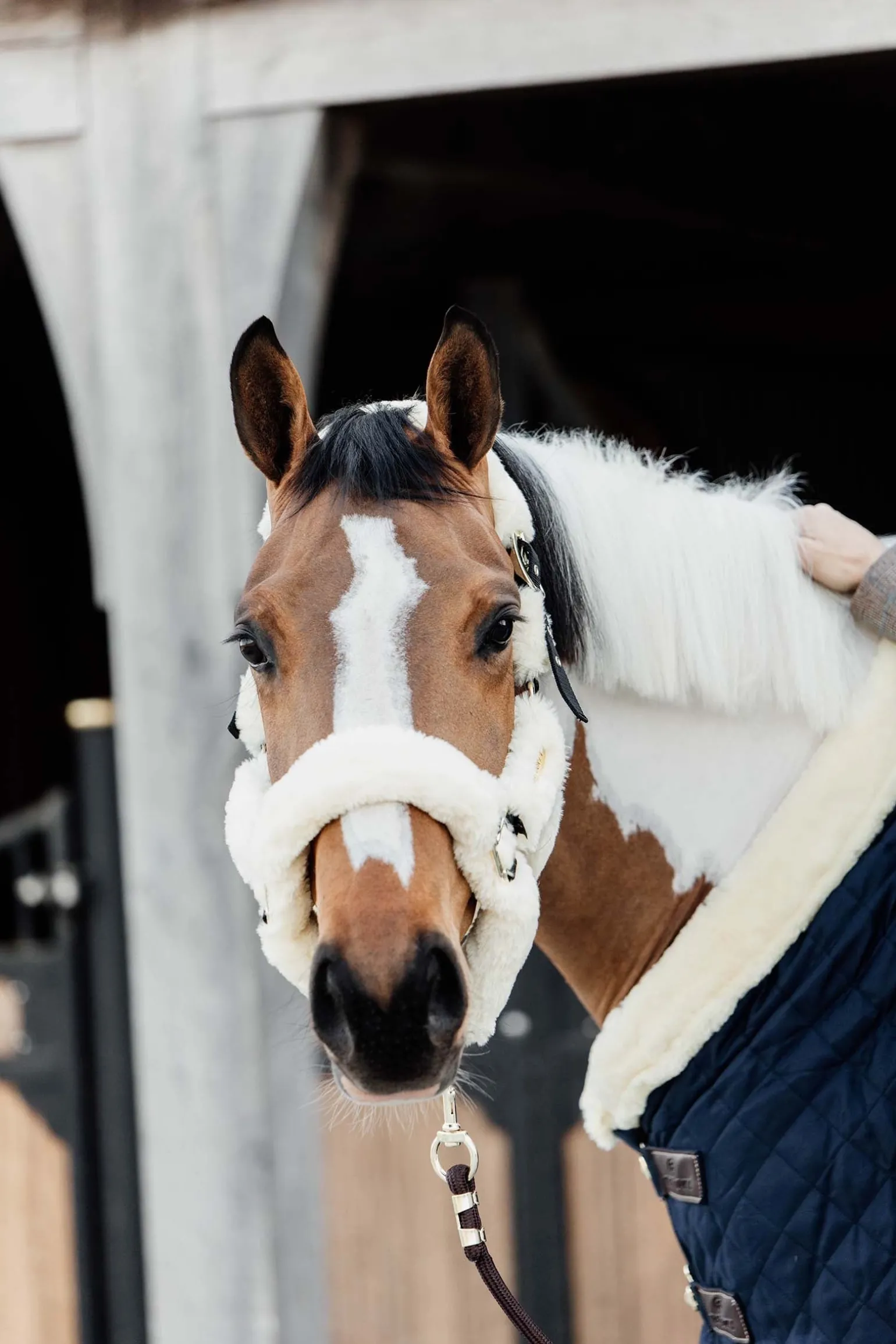 Lammfell Transport-Halfter