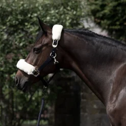 Laurier Halfter mit Lammfell