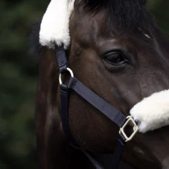 Laurier Halfter mit Lammfell