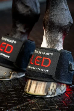 LED Rotlicht Therapie Mini-Gamasche (1 Stk.)