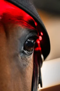 LED Rotlicht-Therapie Genickhaube