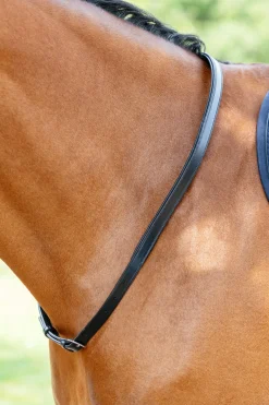 Leder Halsriemen