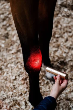 LED-Rotlicht-Therapie Stab