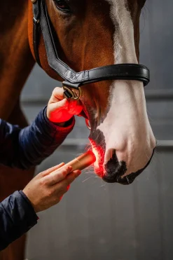 LED-Rotlicht-Therapie Stab