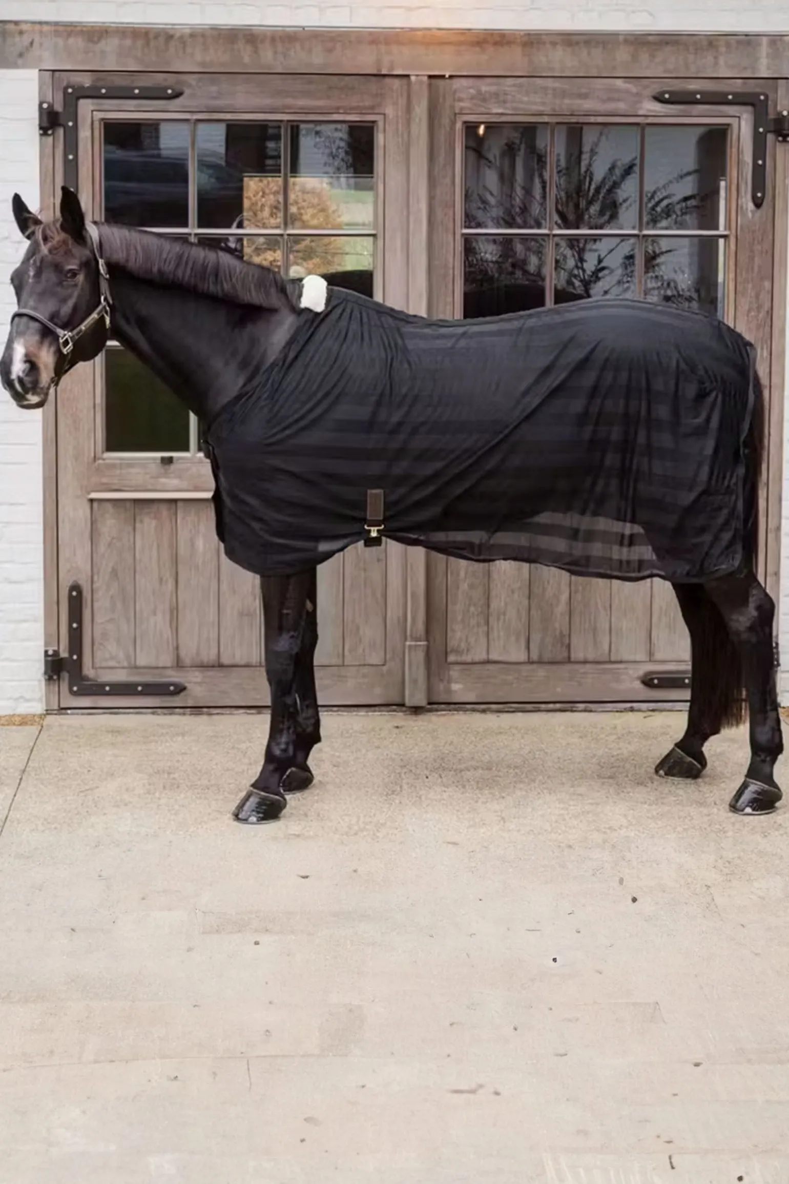 leichte gestreifte Fliegendecke aus Mesh