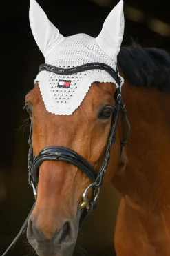 Lexington Fliegenhaube