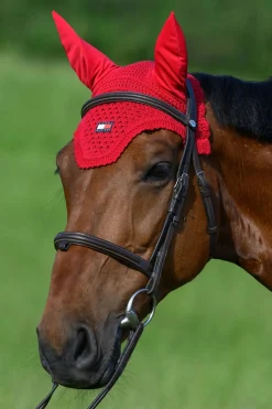 Lexington Fliegenhaube