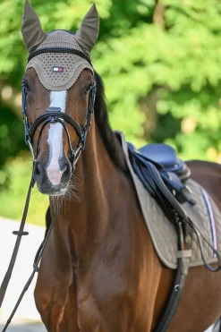 Lexington Fliegenhaube