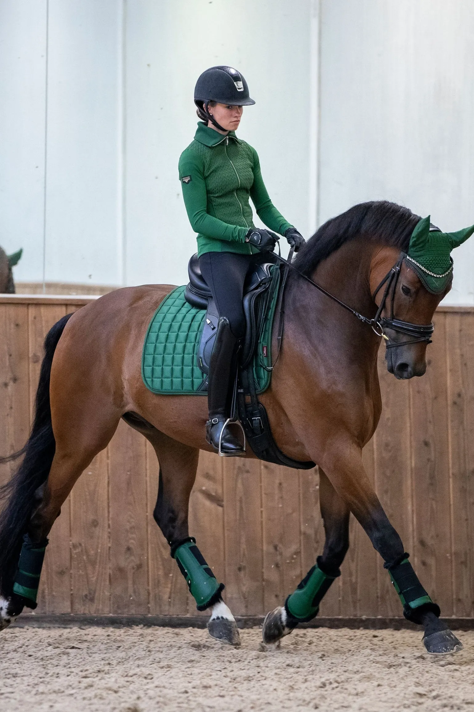 Loire Classic Dressurschabracke