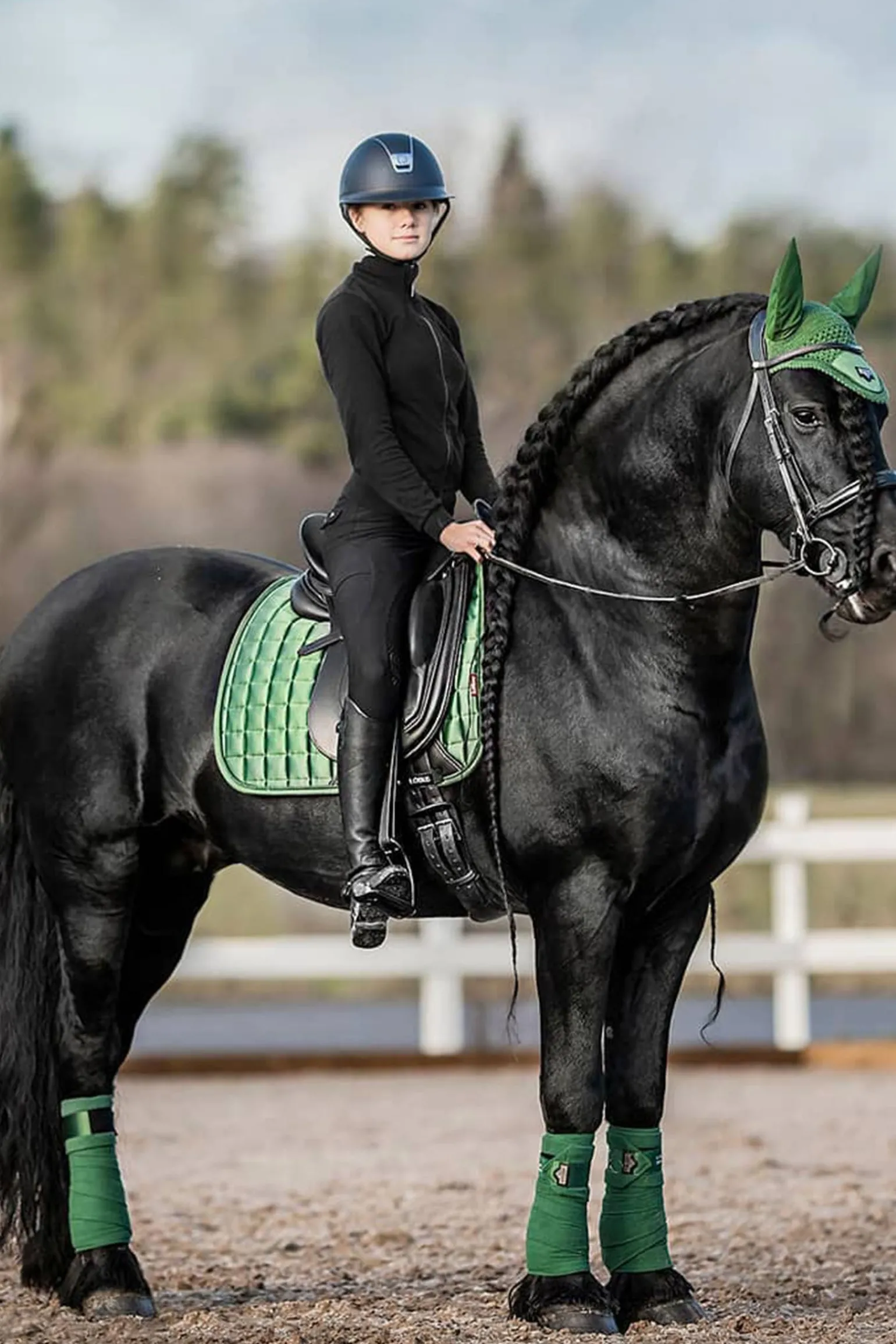 Loire Classic Dressurschabracke