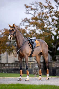 Loire Classic Square Vielseitigkeitsschabracke