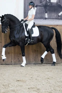 Loire Dressurschabracke