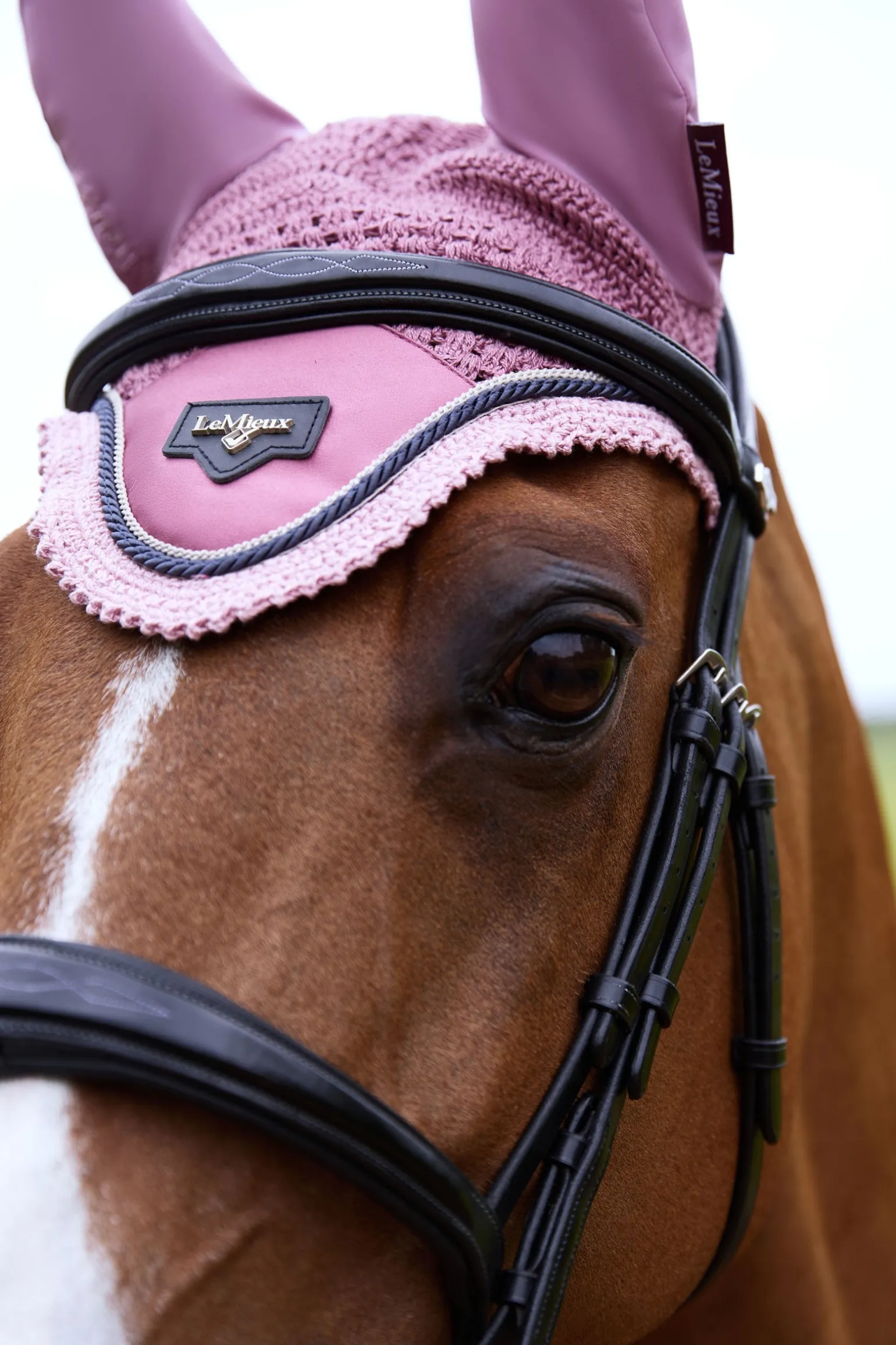 Loire Satin Fliegenhaube