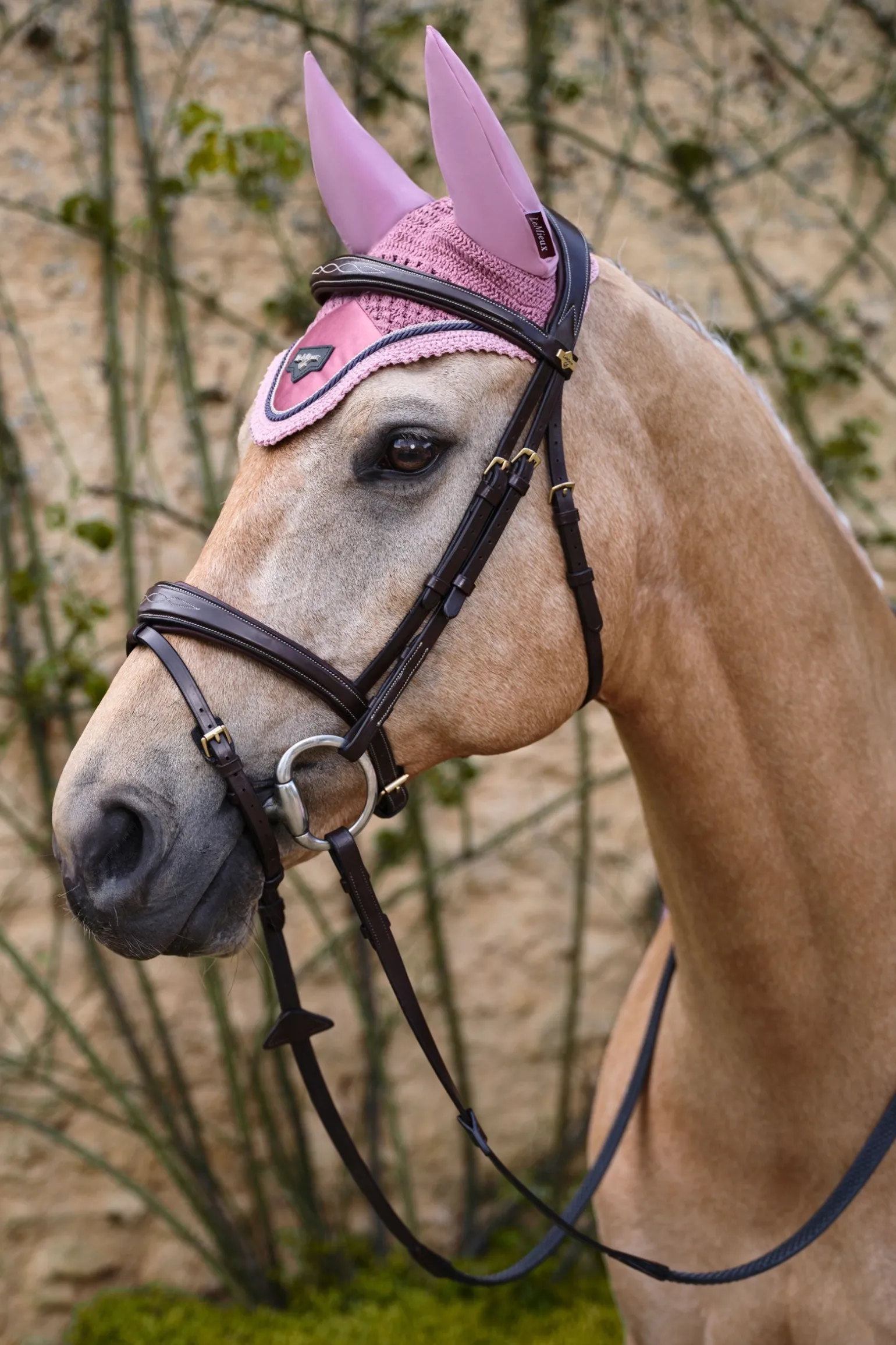 Loire Satin Fliegenhaube