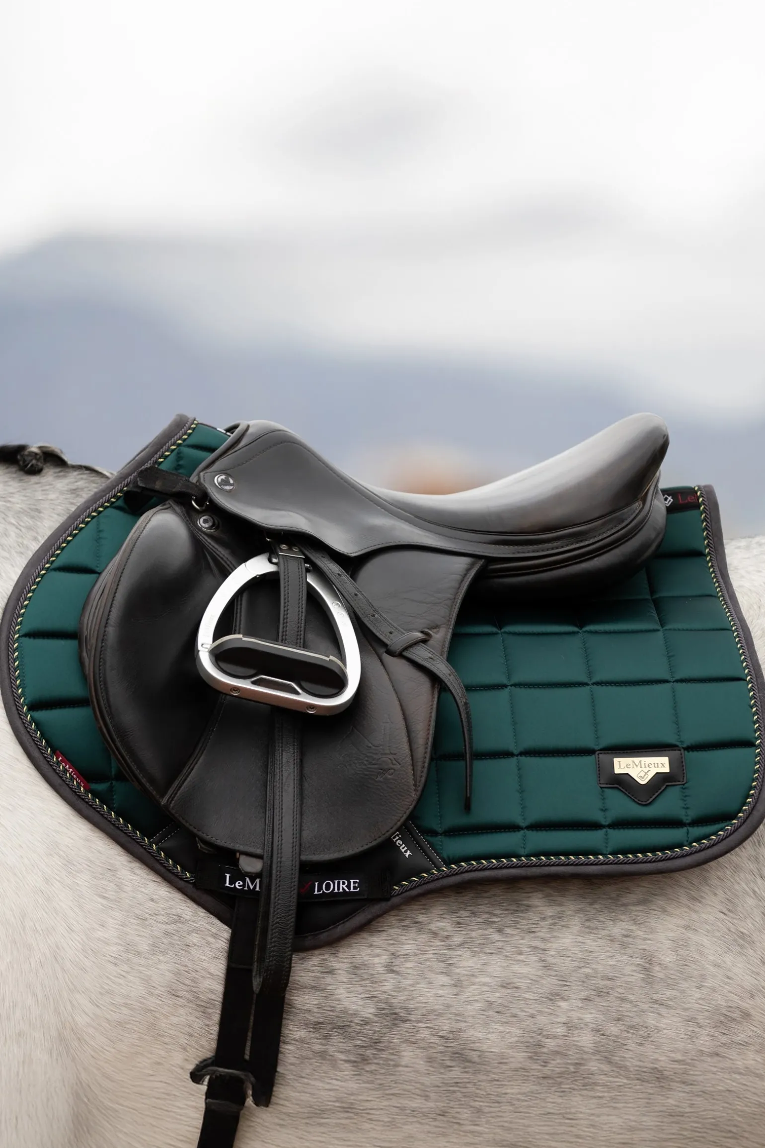 Loire Square CC Springschabracke