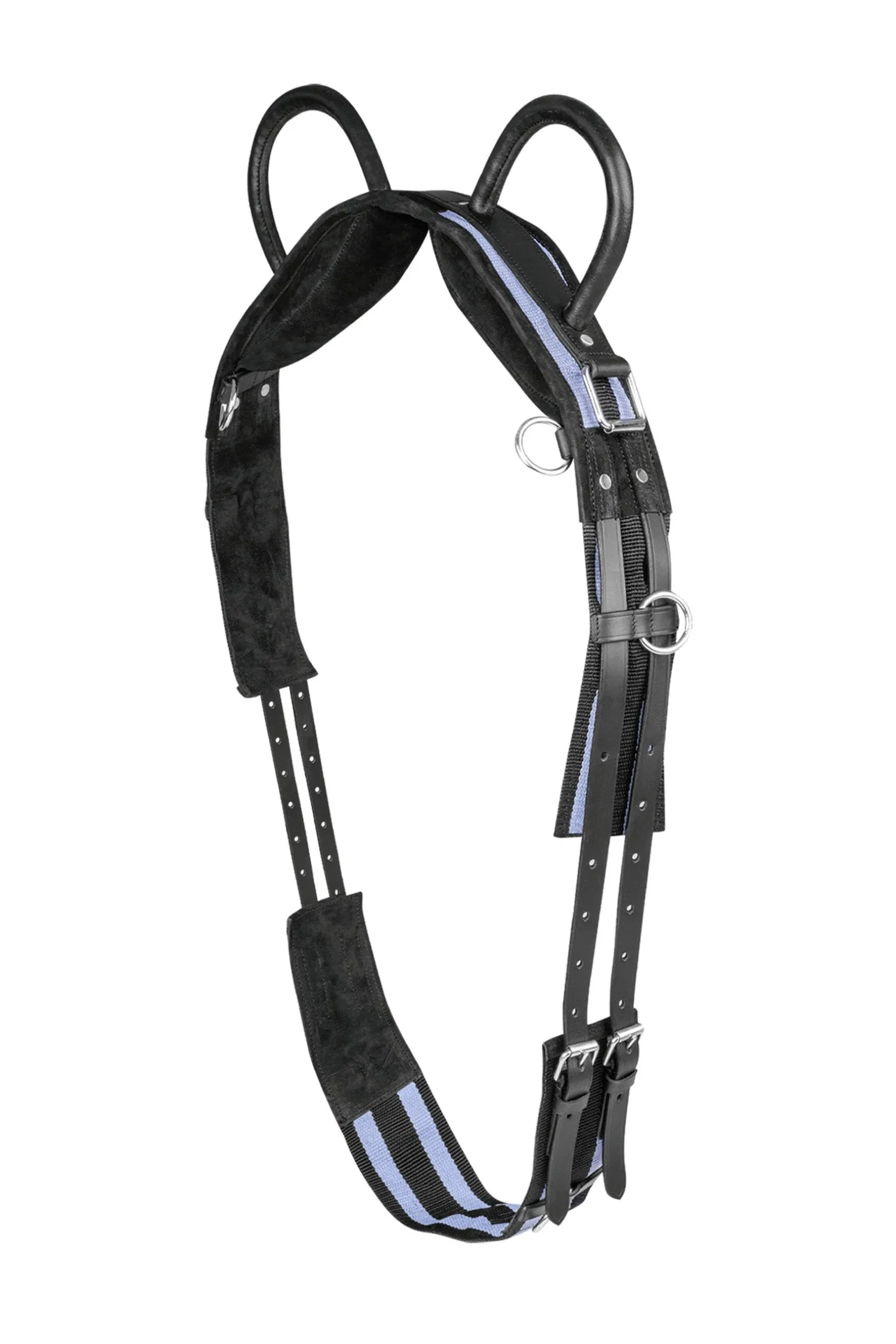 Longiergurt mit zwei Handgriffen