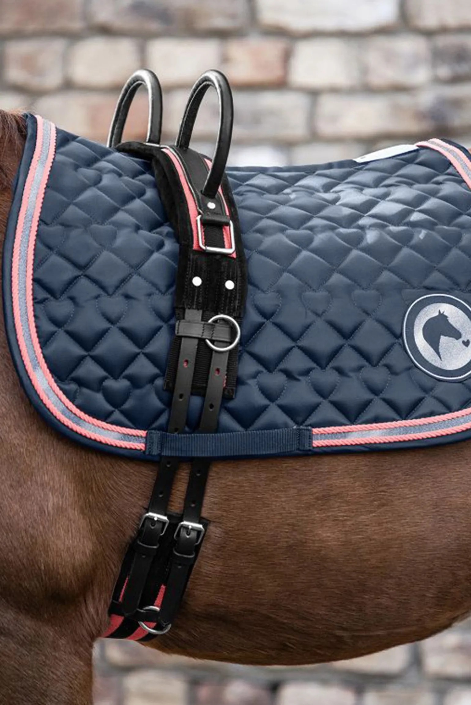 Longiergurt mit zwei Handgriffen