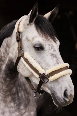Marquess Halfter mit Kunstfellfutter