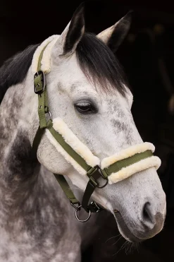 Marquess Halfter mit Kunstfellfutter