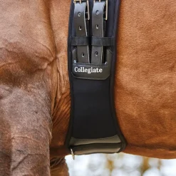 Memory Foam Dressurgurt