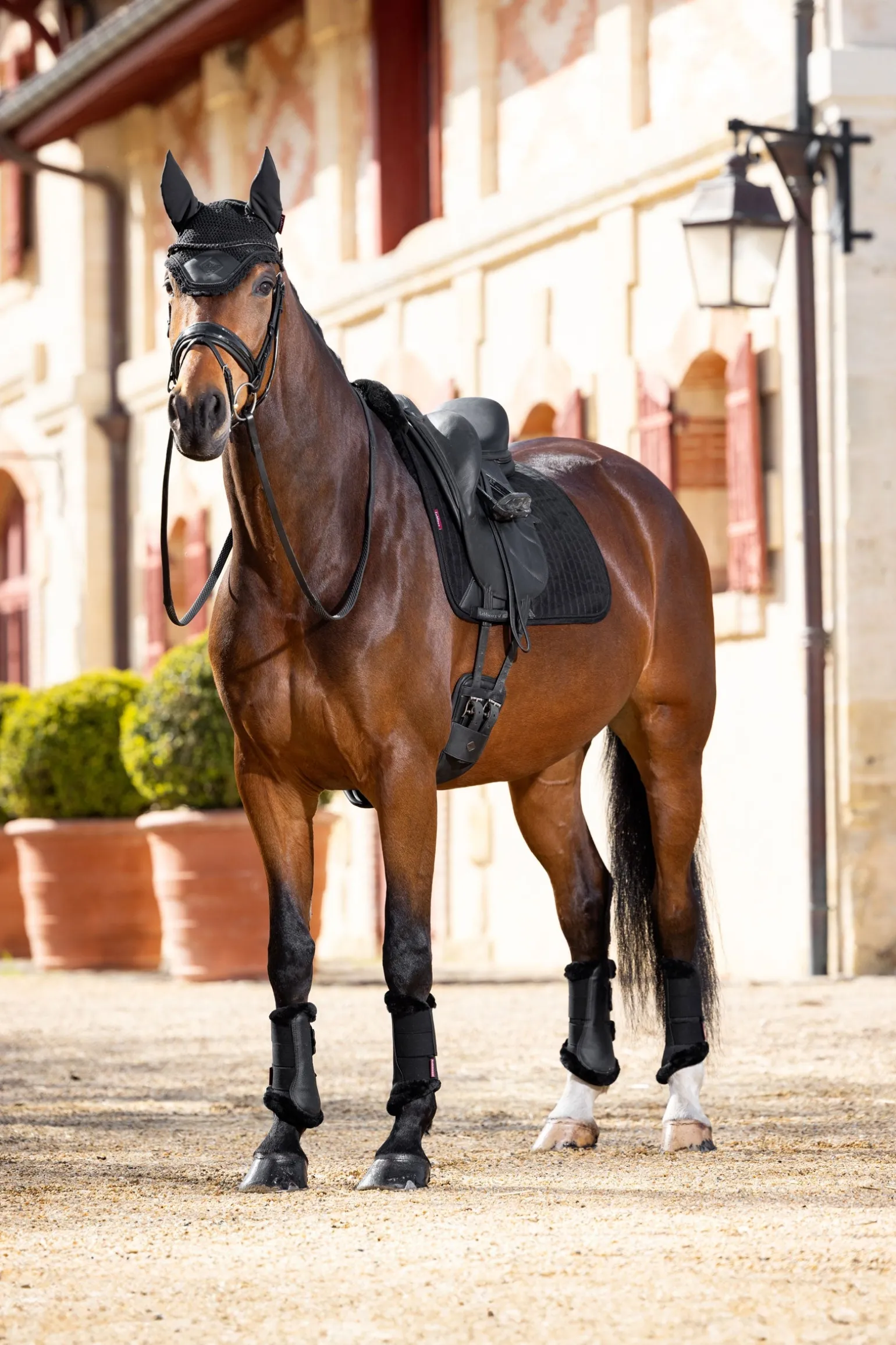 Merino+ Dressurschabracke mit Wildleder-Effekt, halb gefüttert