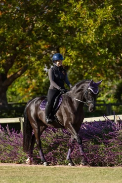 Merino+ Loire Classic Close Contact Satteldecke