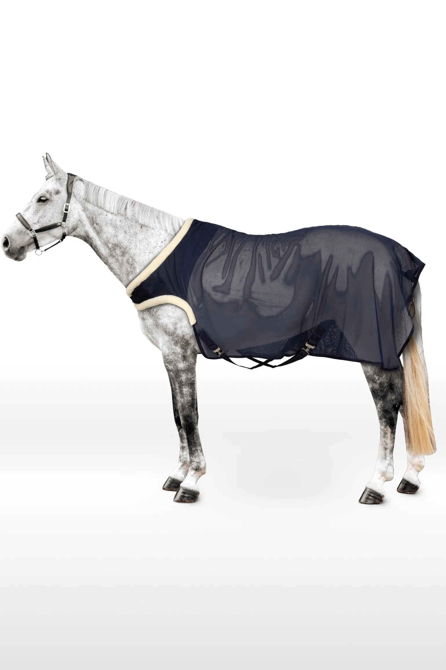 Mesh-Führanlagendecke