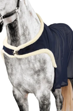 Mesh-Führanlagendecke