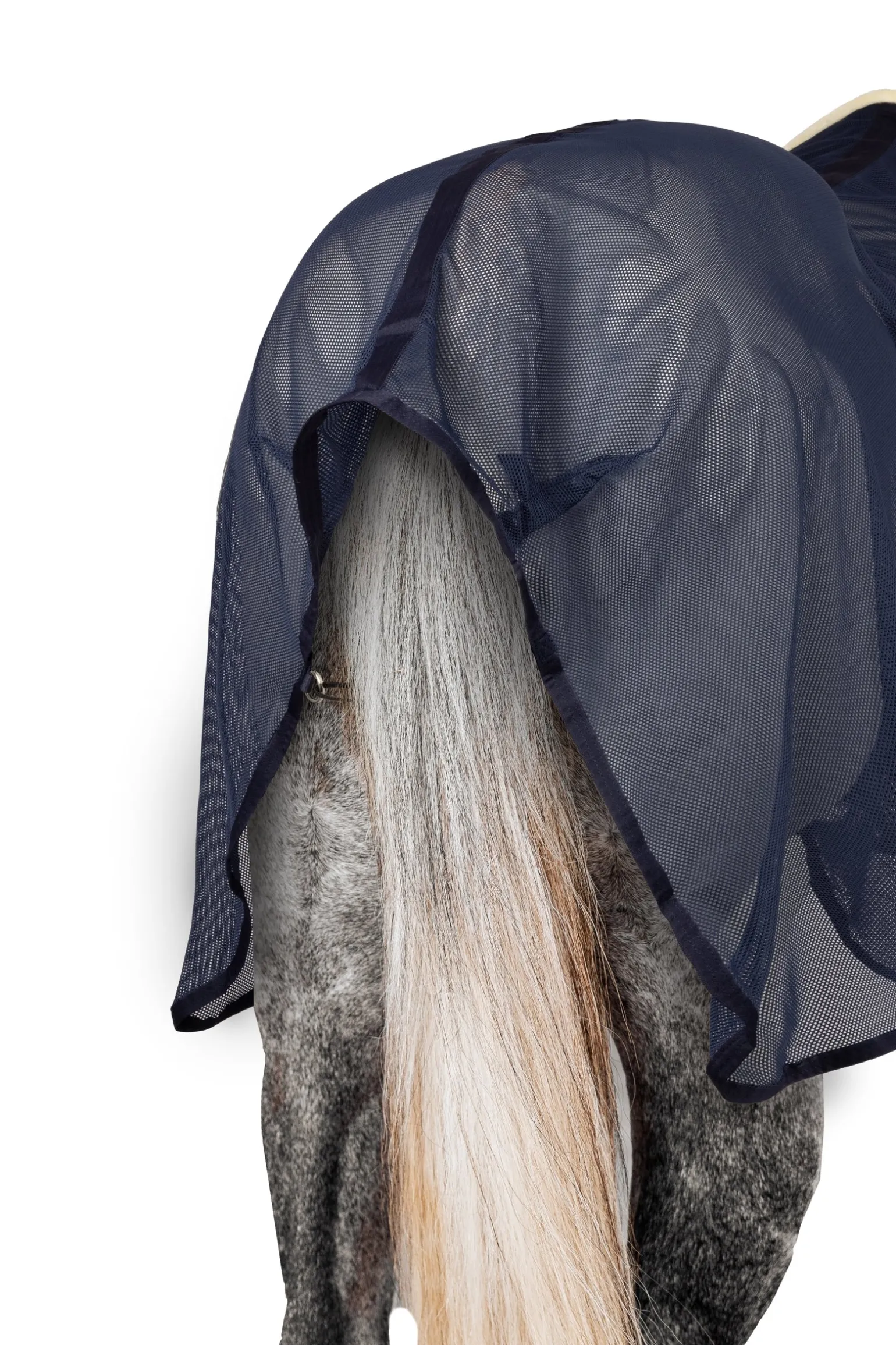 Mesh-Führanlagendecke