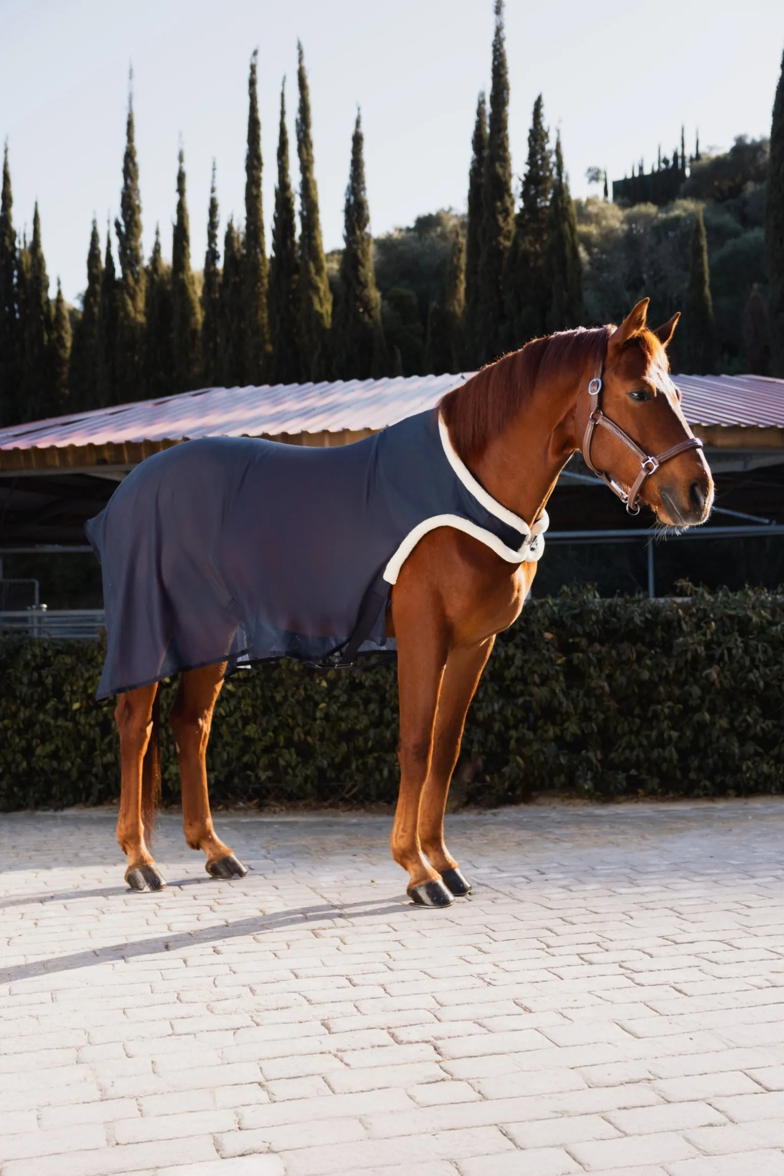 Mesh-Führanlagendecke