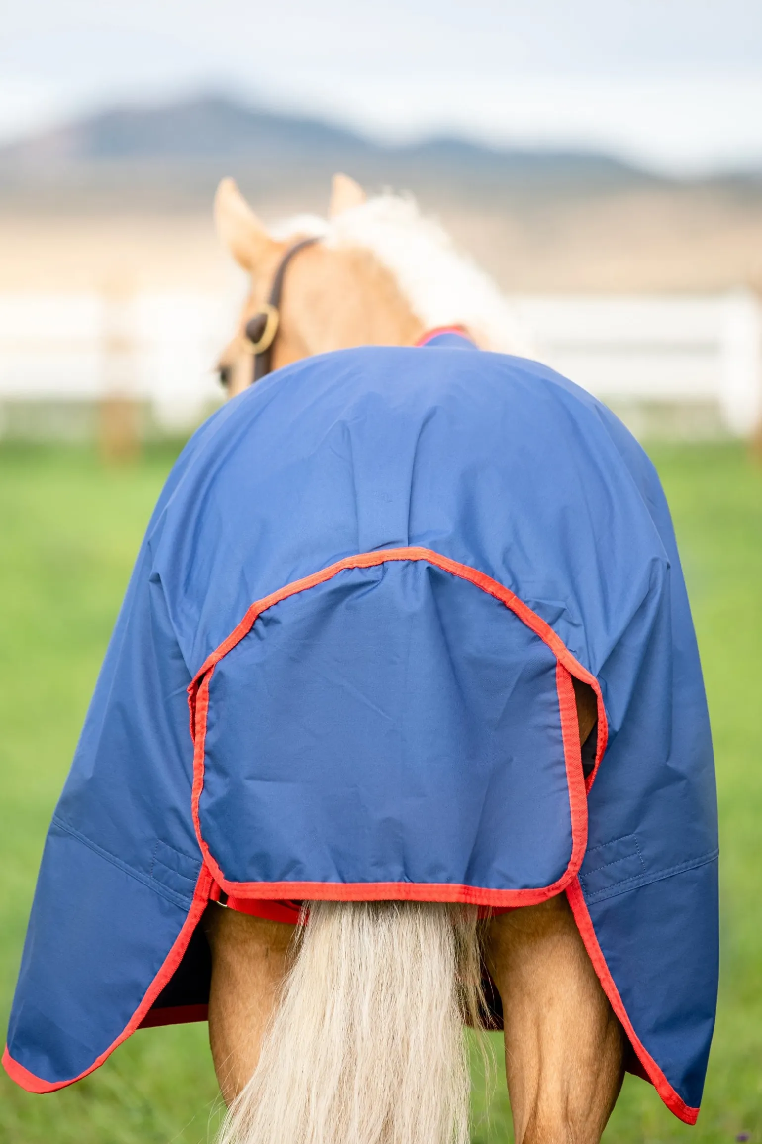 Mio Weidedecke, 200 g