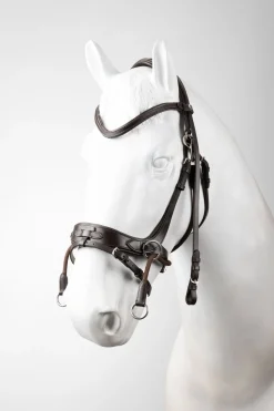 Montana 2-in-1 Zaum