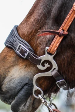 Music Set Barock Hackamore SS, 140mm