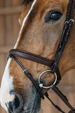 New English kombinierte Trense mit Flechtdetails