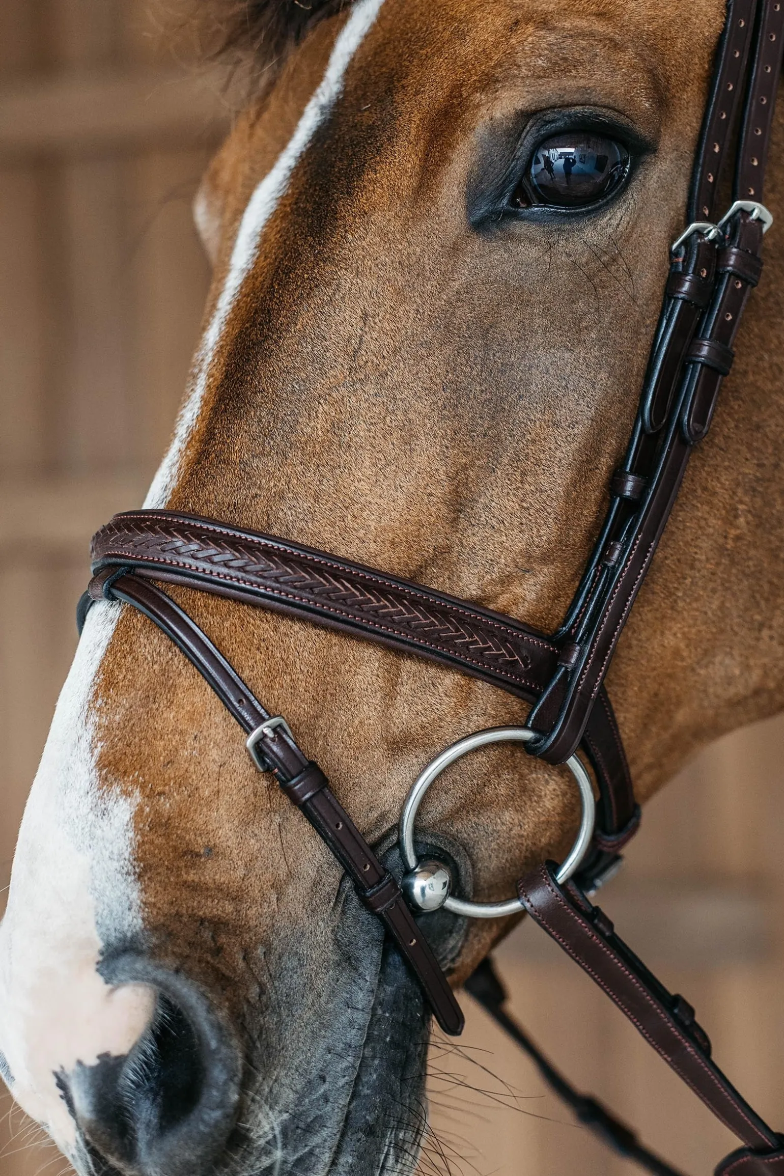 New English kombinierte Trense mit Flechtdetails