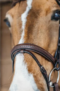 New English kombinierte Trense mit Flechtdetails